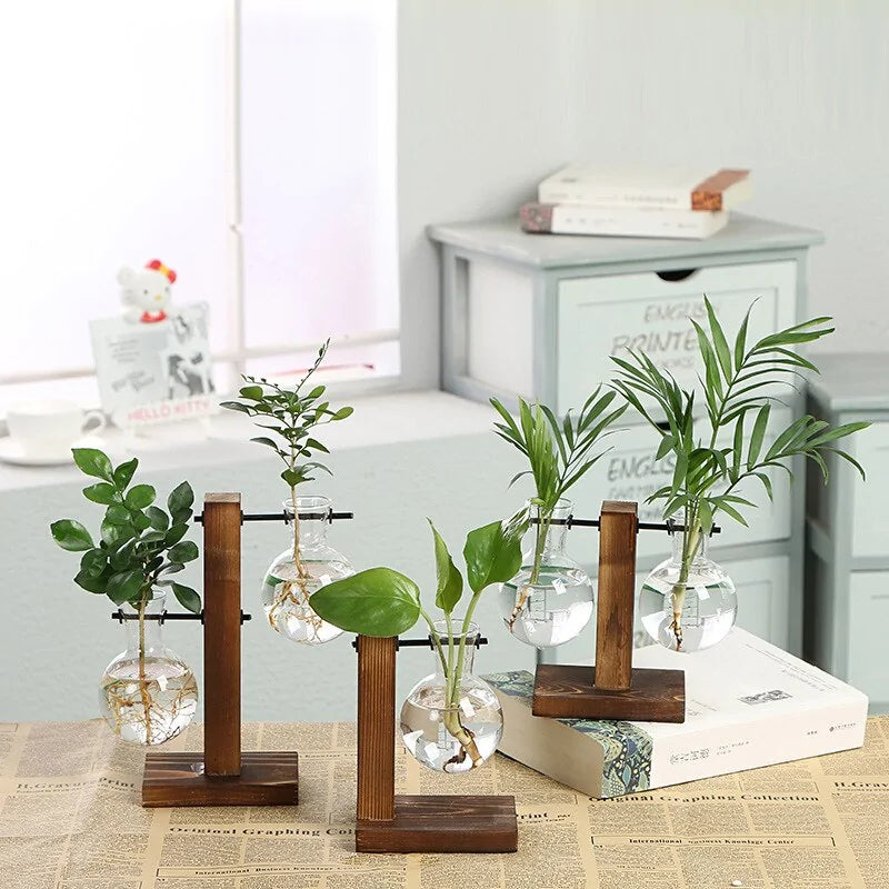 Terrarium Hydroponic Plant Vases