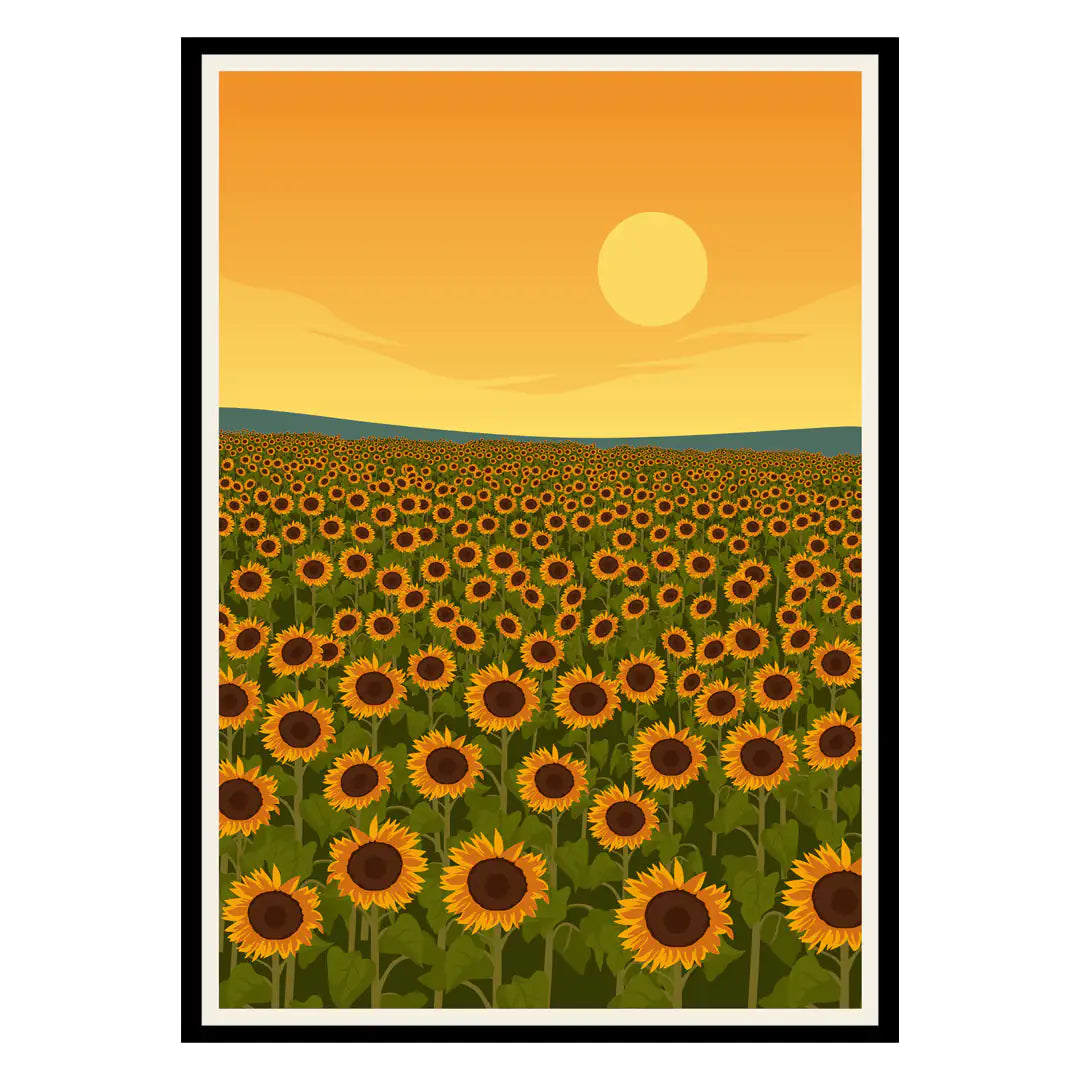 Sunflower Poster